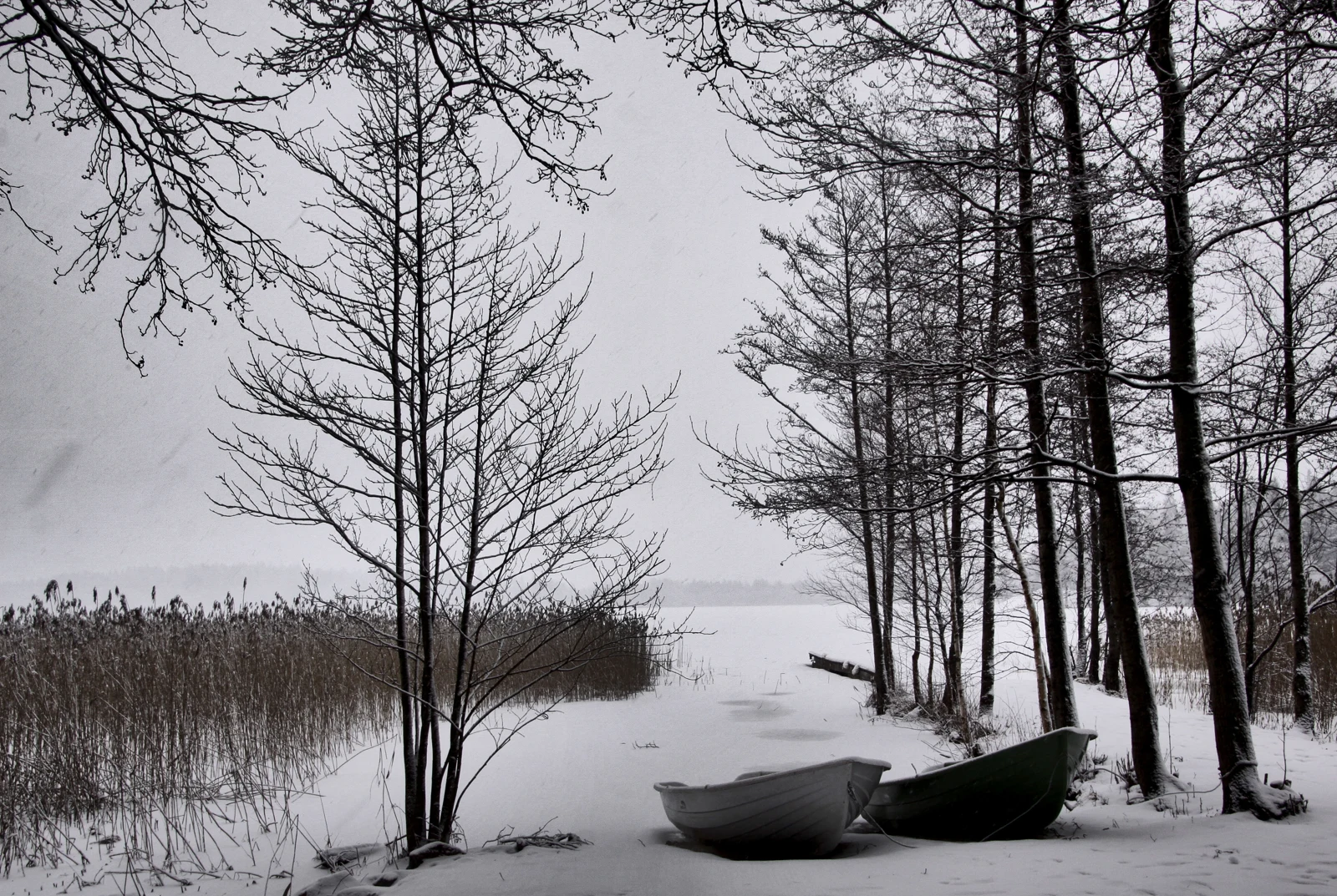 Barques et arbres sur la rive enneigée du lac Bodom à Oittaa