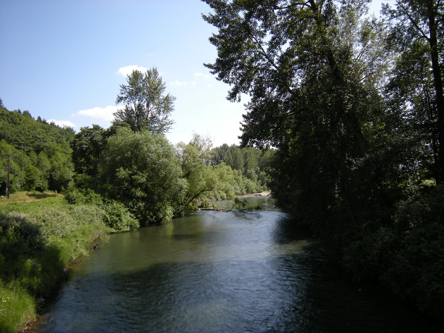 La Green River à Auburn, bordée de berges herbeuses et de grands arbres, vue depuis une passerelle.