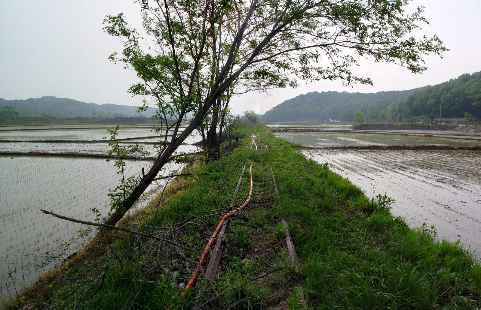 Ancienne voie ferrée Suin entre les rizières de Yacheon-ri à Hwaseong