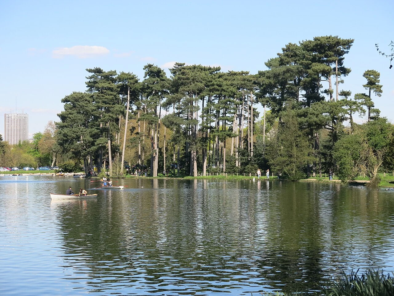 Pins au bord du lac inférieur du bois de Boulogne, à Paris.