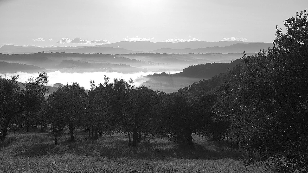 Vue des collines de San Casciano in Val di Pesa en Toscane.