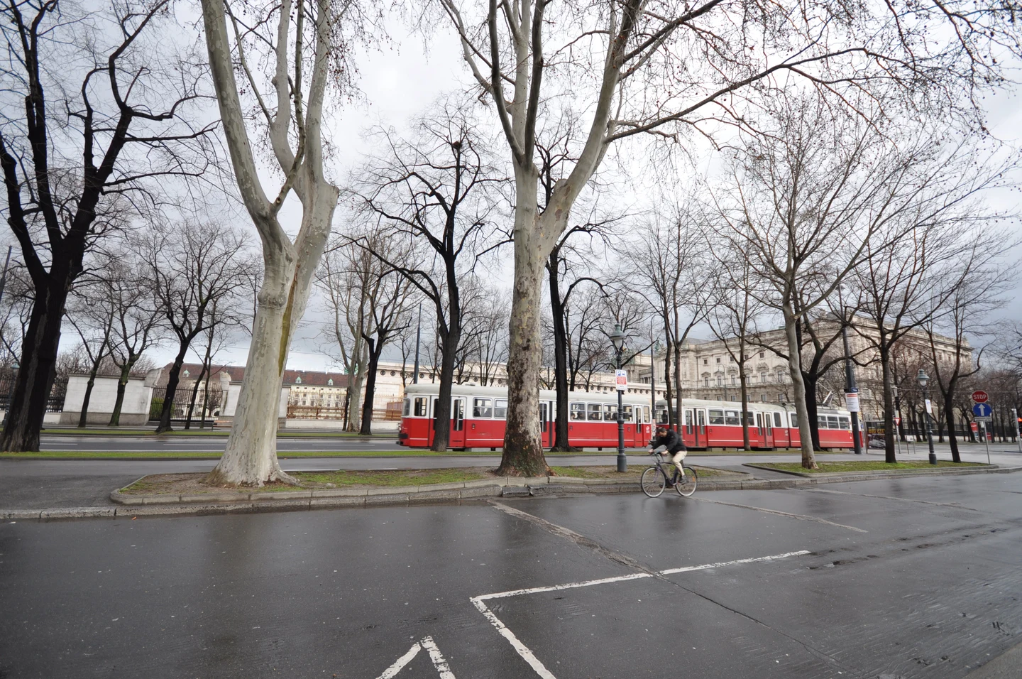 Tramway et façades historiques le long de la Ringstraße à Vienne.