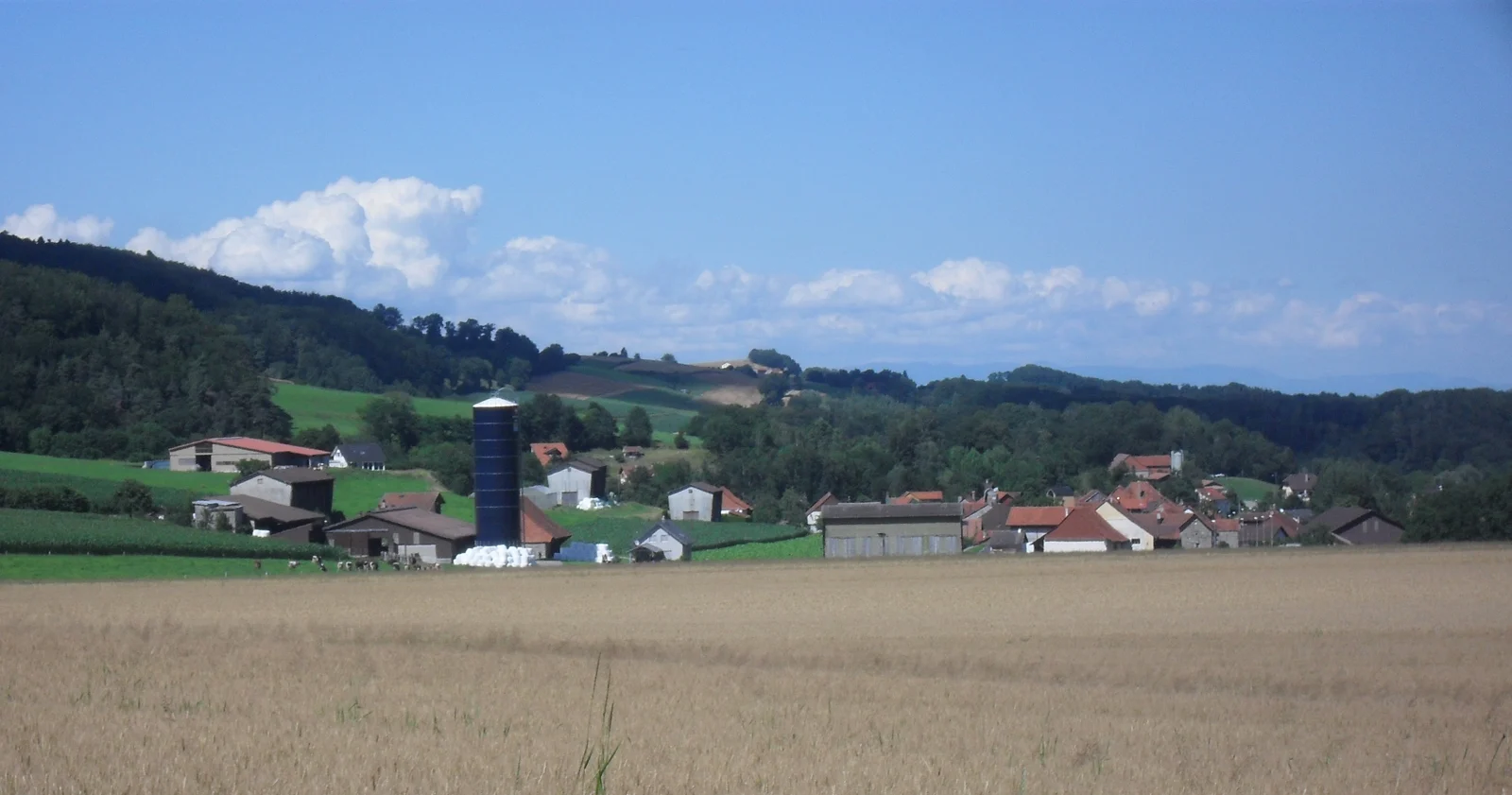 Maisons et bâtiments agricoles de Cheiry, entre les champs et les collines boisées.