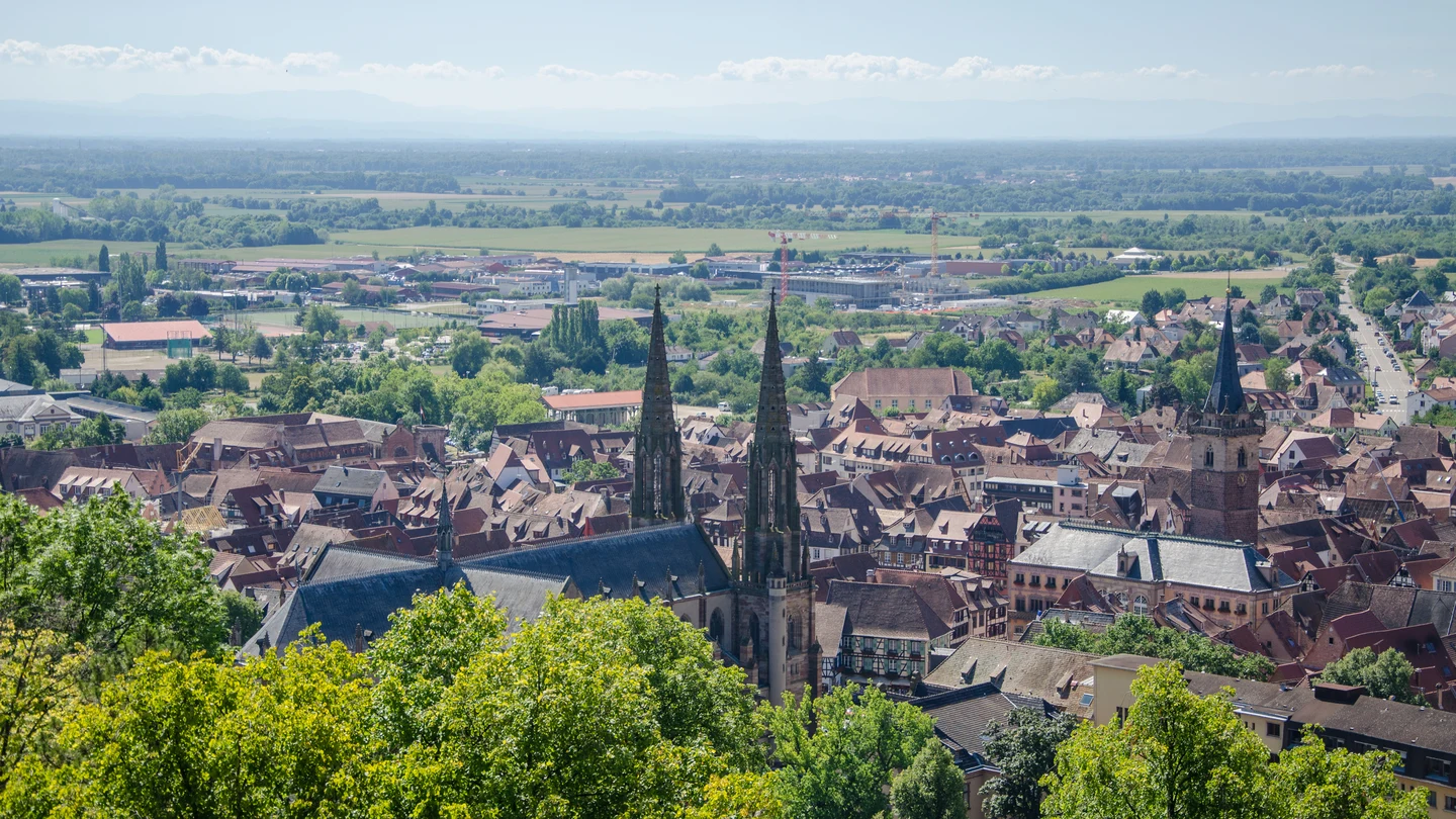 Vue générale des toits et des clochers d’Obernai depuis le Mont national, avec la plaine d’Alsace à l’horizon.