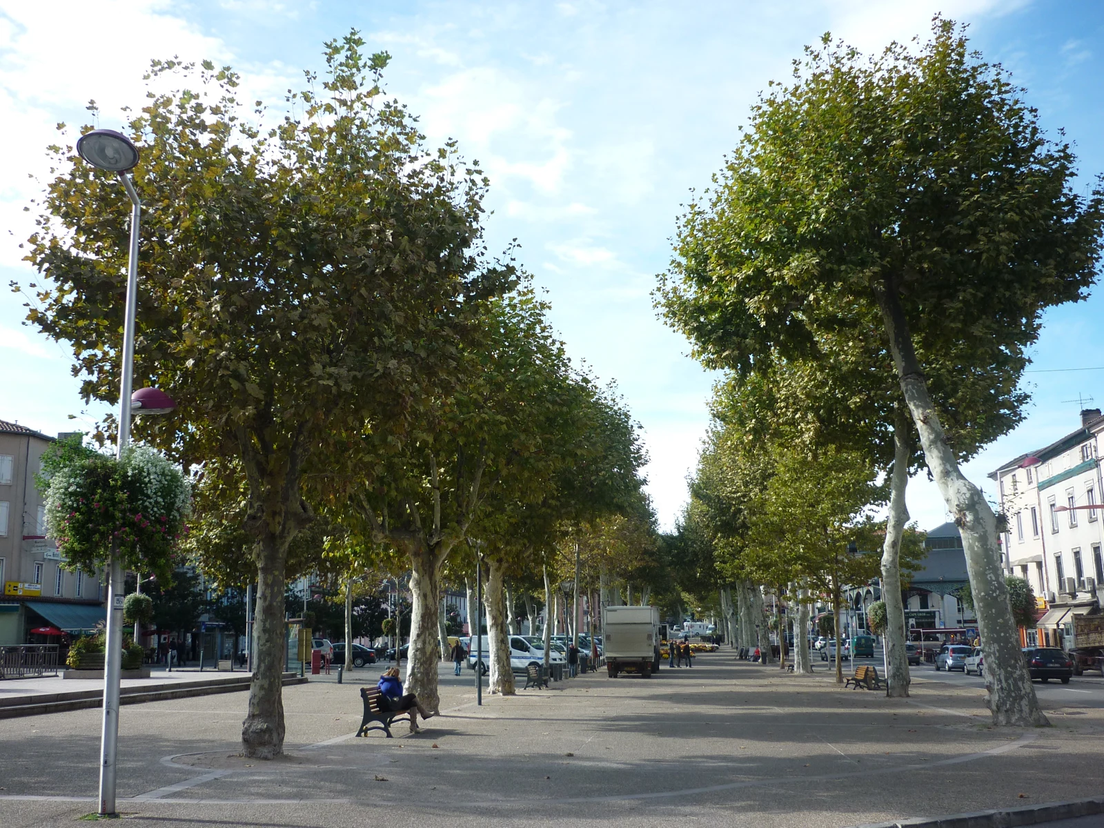 Promenade plantée de platanes, bancs et bâtiments du centre-ville sur les allées de Villote à Foix.