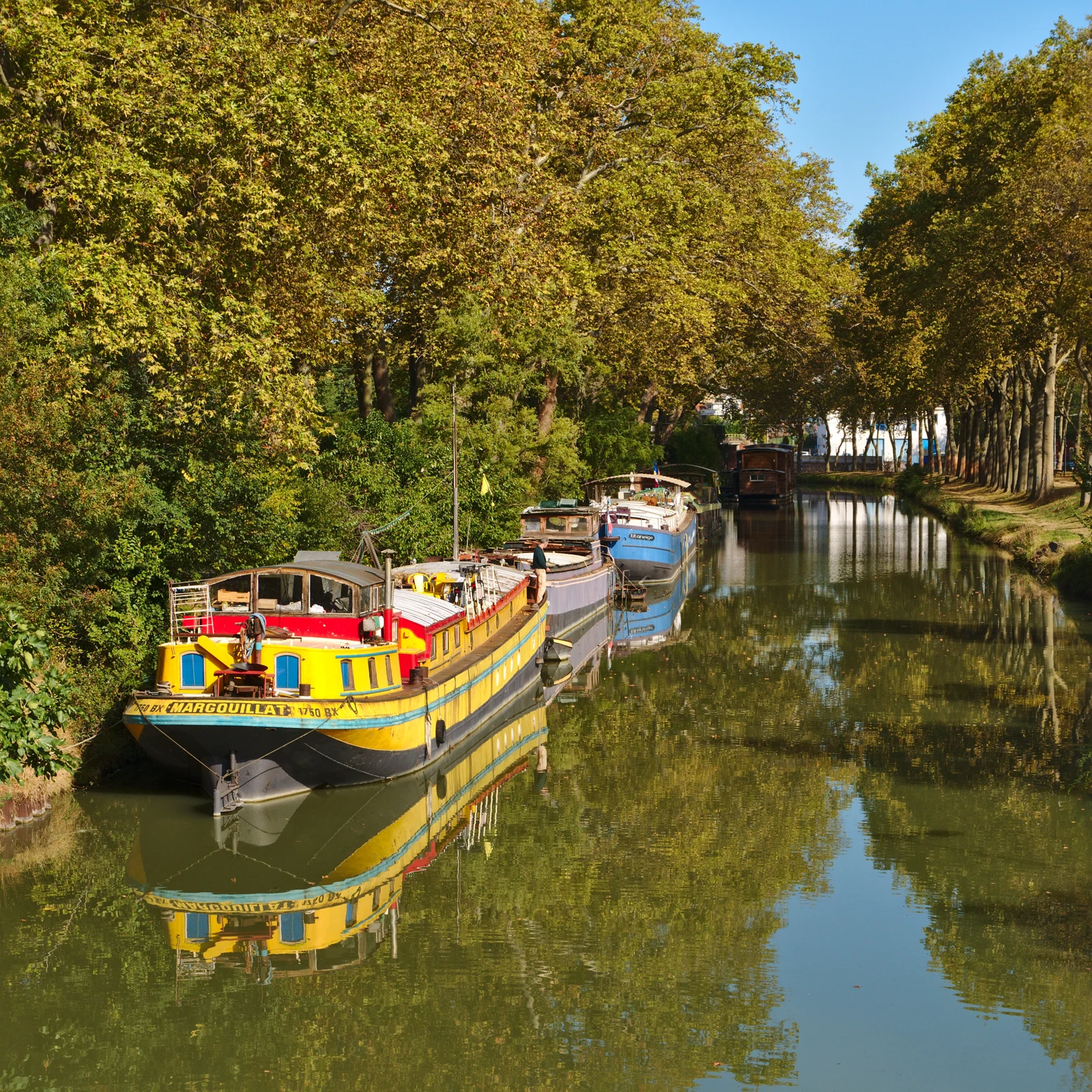Le canal du Midi à Toulouse, bordé de platanes, avec des péniches amarrées.