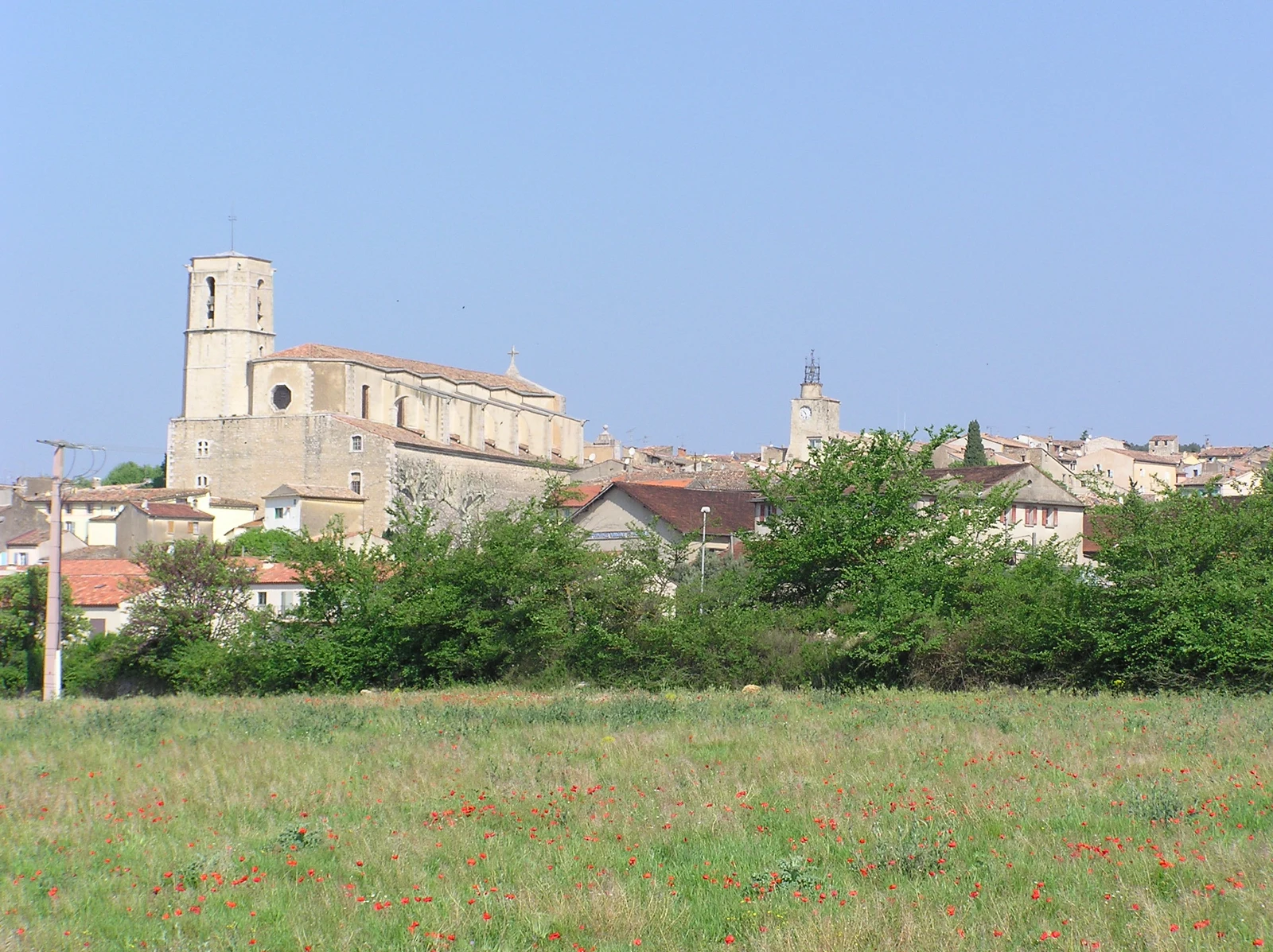 Vue de Lorgues avec ses clochers, ses maisons aux toits de tuiles et une prairie fleurie au premier plan.