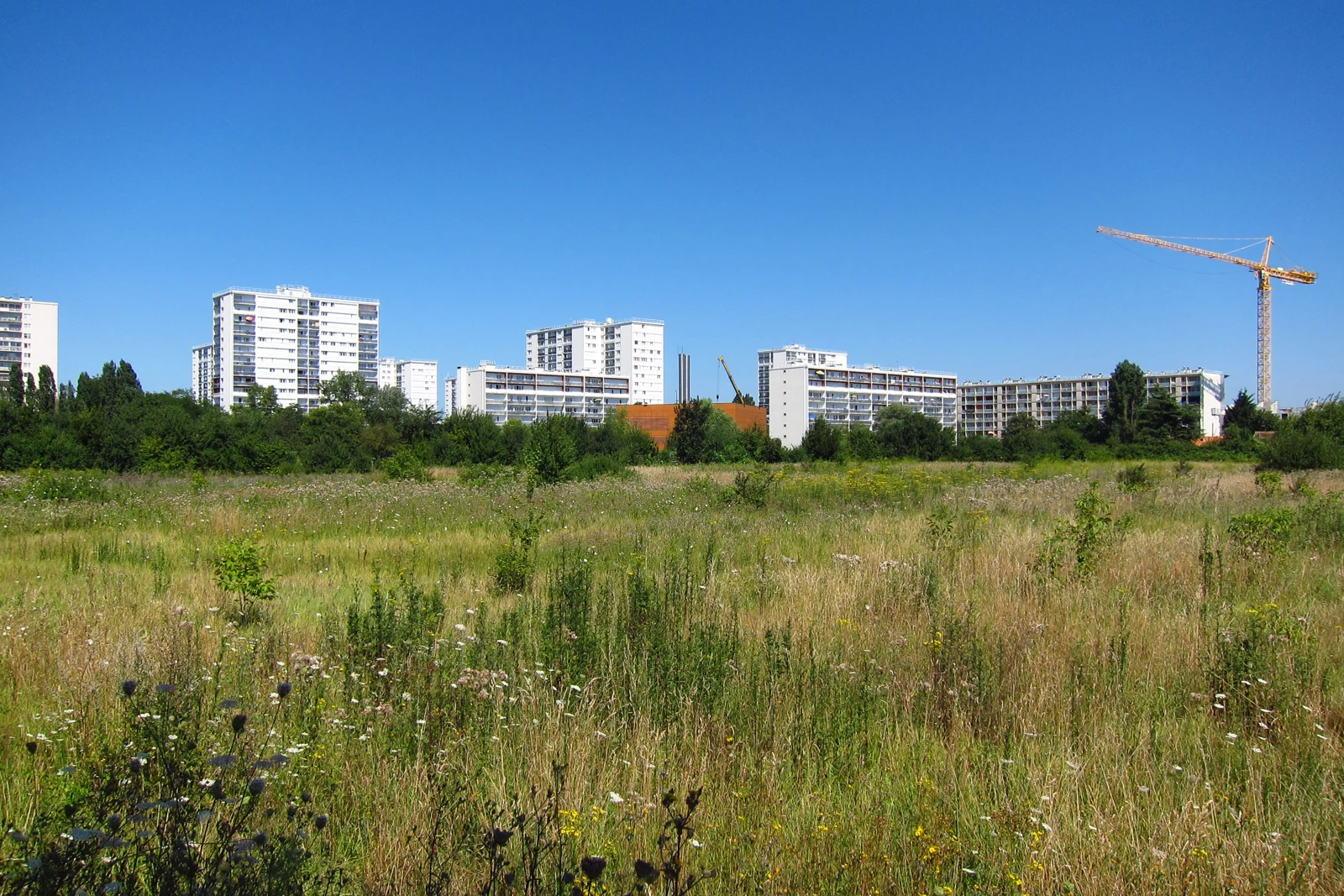 Immeubles de Grigny, dans l’Essonne, au-delà d’une prairie sous un ciel bleu.